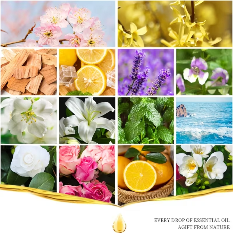 3Pcs Plant Essential Oil (Lave - Candle Making Essential Oil ulasan dan harga