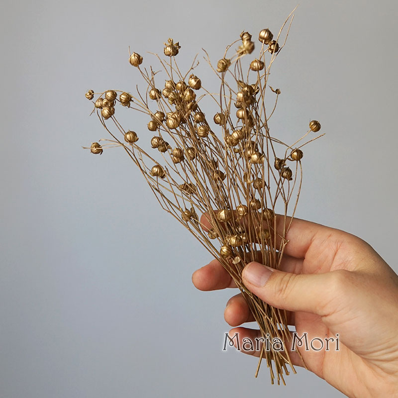 5g Preserved Flax Bean Natural - Candle Making Diy ulasan dan harga