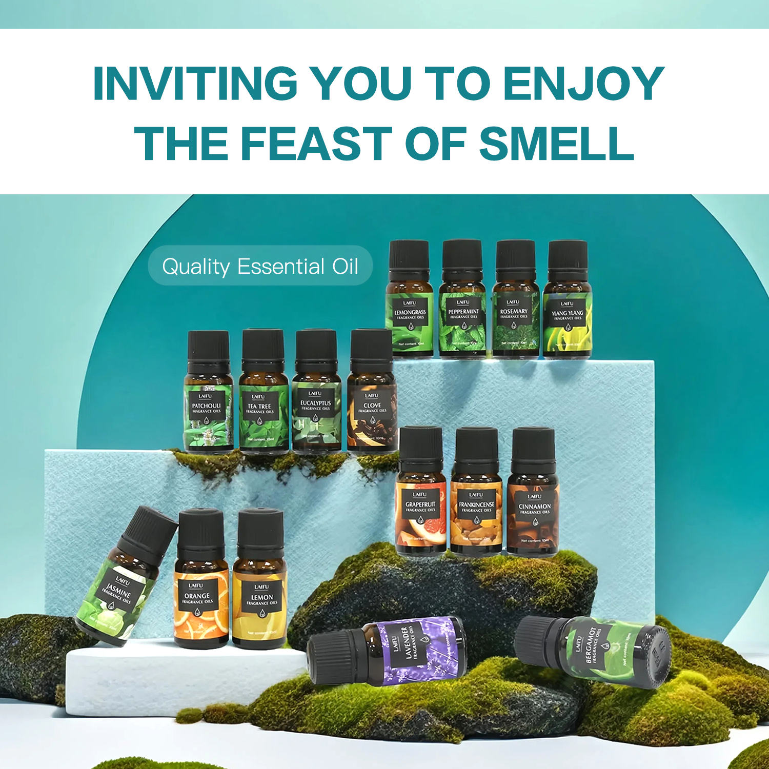 16x10ml Essential Oils Set for - Candle Making Fragrance Oils ulasan dan harga
